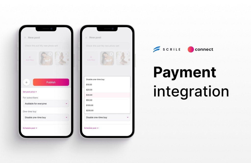wordpress cryptocurrency plugins with Scrile Connect